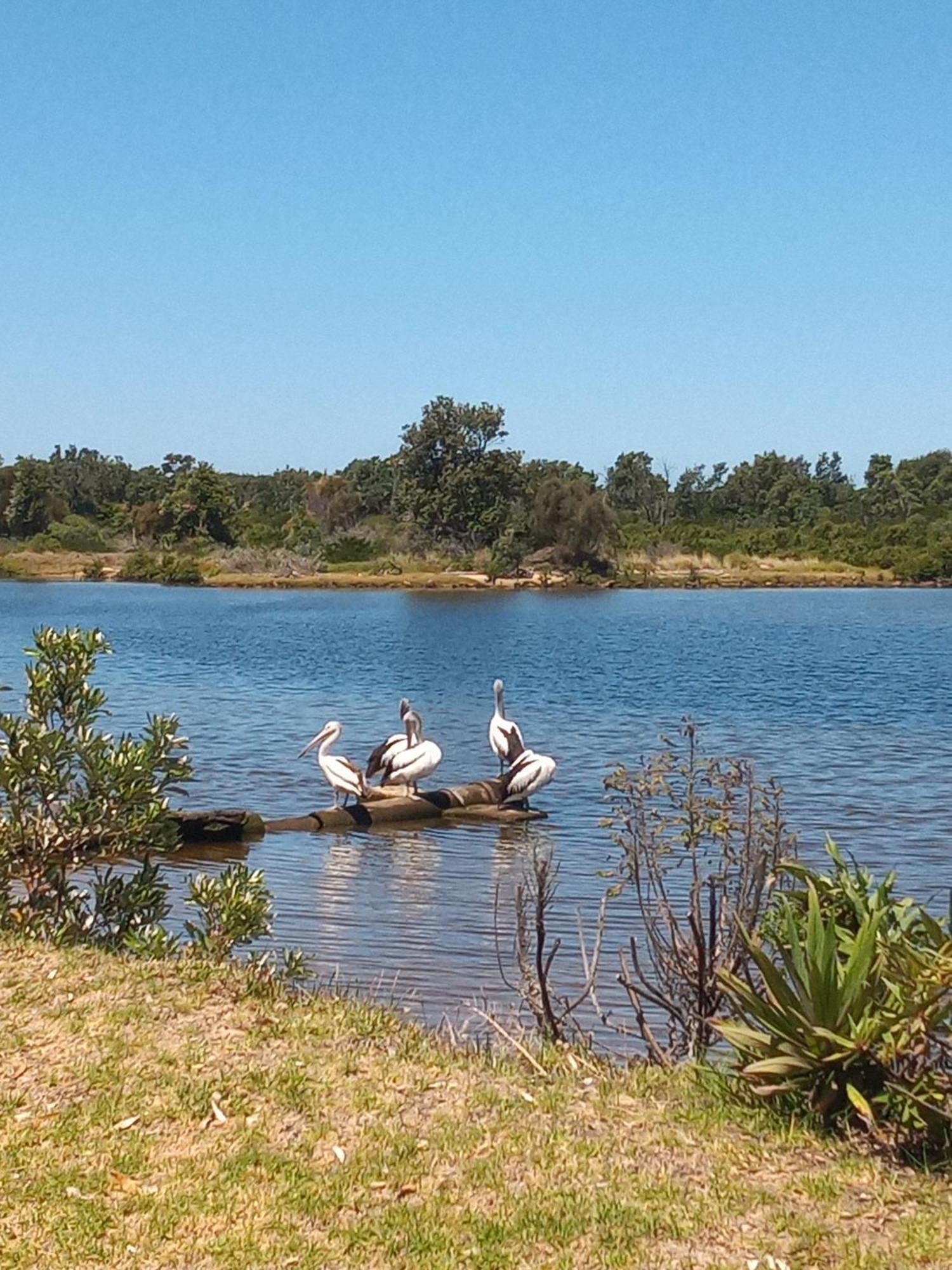 Lakes Entrance Waterfront Cottages With King Beds Bagian luar foto