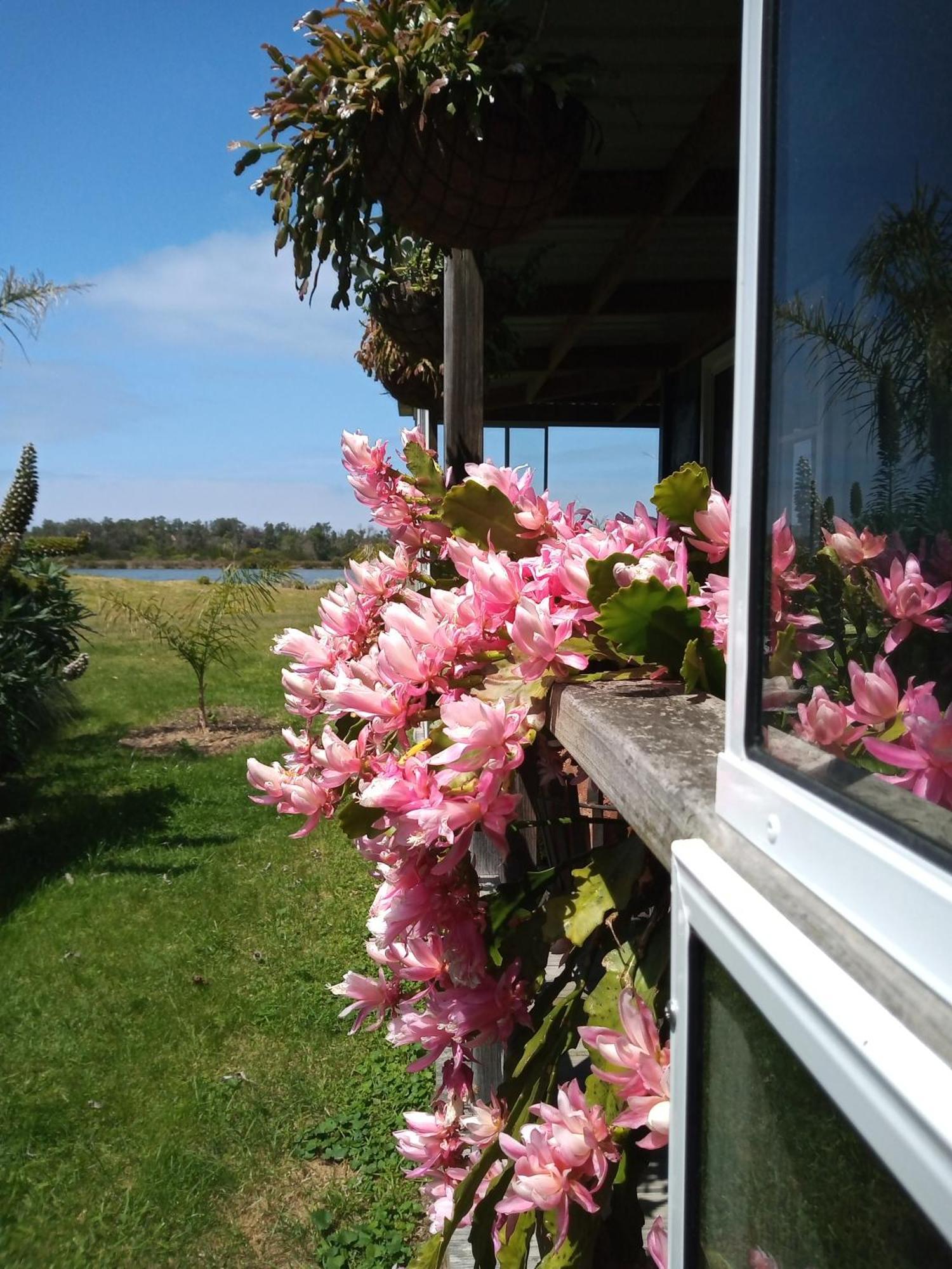Lakes Entrance Waterfront Cottages With King Beds Bagian luar foto