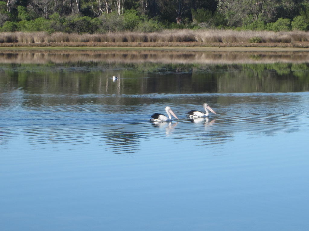 Lakes Entrance Waterfront Cottages With King Beds Bagian luar foto